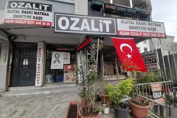 Aşam ozalit - Resim 2