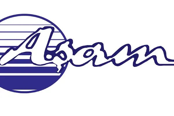Aşam ozalit - Resim 5