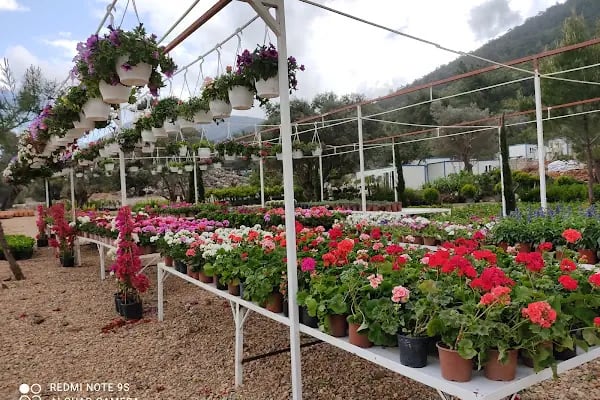 Premium life garden peyzaj ve çiçekçilik - Resim 19