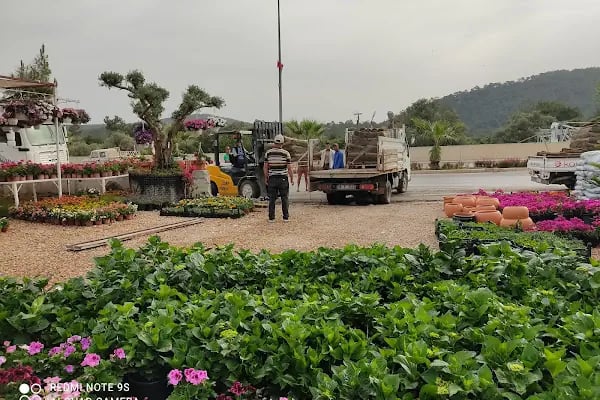 Premium life garden peyzaj ve çiçekçilik - Resim 15