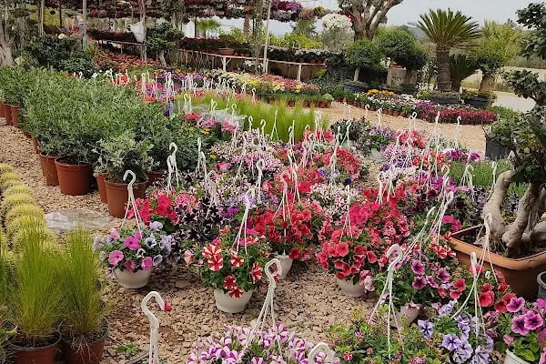 Premium life garden peyzaj ve çiçekçilik - Resim 18