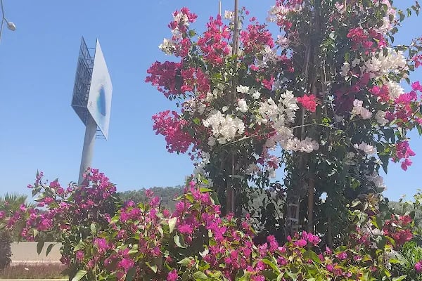 Premium life garden peyzaj ve çiçekçilik - Resim 3