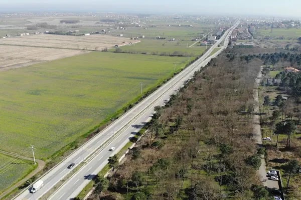Sarıgazel Tabiat Parkı - Resim 15