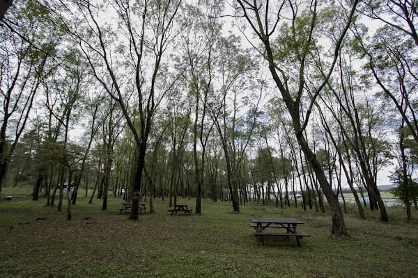 Sarıgazel Tabiat Parkı - Resim 4