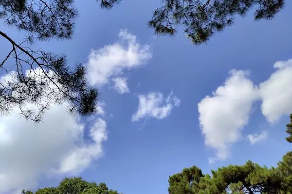 Sarıgazel Tabiat Parkı - Resim 10