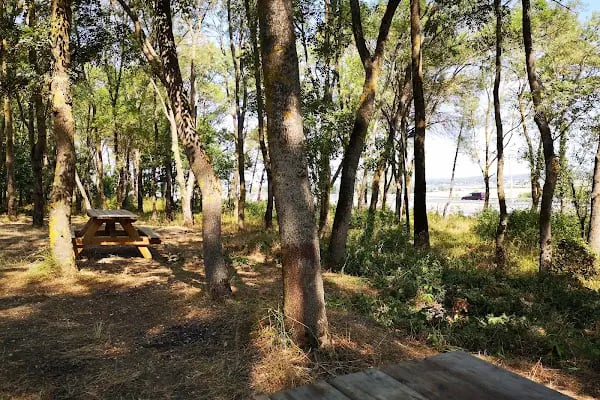 Sarıgazel Tabiat Parkı - Resim 5