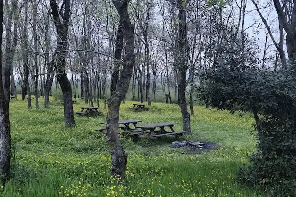 Sarıgazel Tabiat Parkı - Resim 8