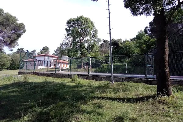 Sarıgazel Tabiat Parkı - Resim 20