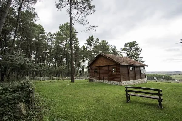 Sarıgazel Tabiat Parkı - Resim 2