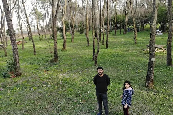 Sarıgazel Tabiat Parkı - Resim 1