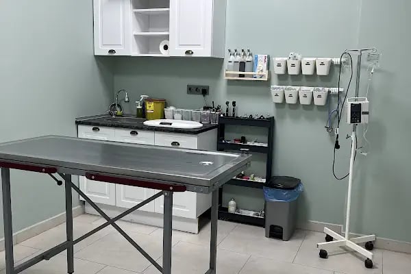 Vetom Veteriner Kliniği - Resim 11