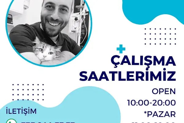 Ataşehir Atapark Veteriner Kliniği - Resim 9