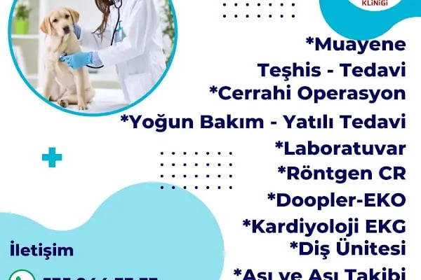 Ataşehir Atapark Veteriner Kliniği - Resim 13