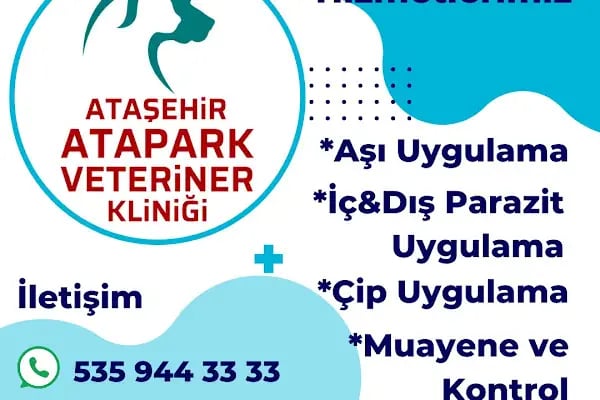 Ataşehir Atapark Veteriner Kliniği - Resim 12