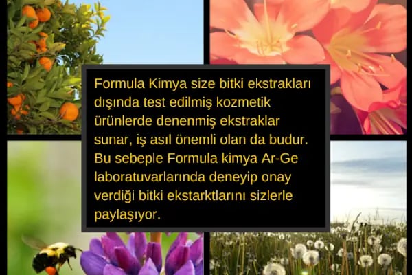 FORMULA KİMYA(FMK LAB ARGE DAN SAN VE TİC LTD ŞTİ) - Resim 5
