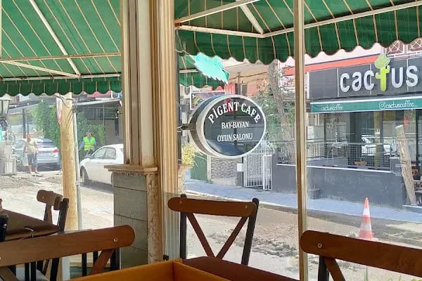 Pigent kafe - Resim 6