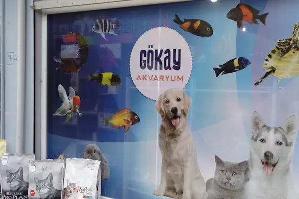 Gökay Akvaryum - Resim 5