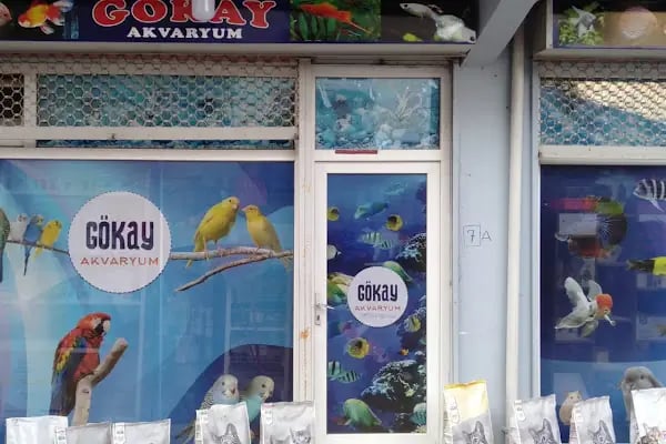 Gökay Akvaryum - Resim 11