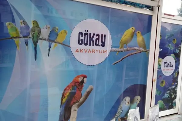 Gökay Akvaryum - Resim 7