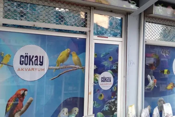 Gökay Akvaryum - Resim 2