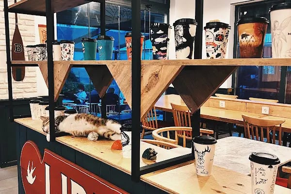 Mackbear Coffee Co. - Resim 11