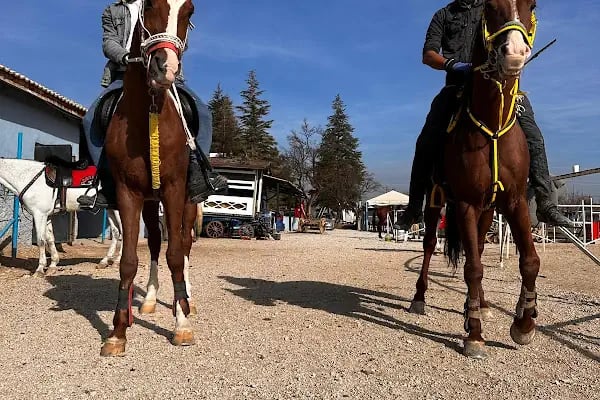 Altay Atlı Spor Kulübü - Resim 1