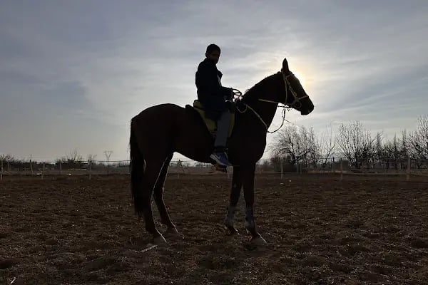 Altay Atlı Spor Kulübü - Resim 3
