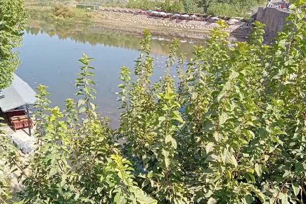 Şanlıurfa Organize Sanayi Bölgesi - Resim 15