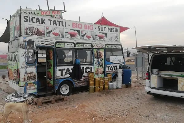 Şanlıurfa Organize Sanayi Bölgesi - Resim 11