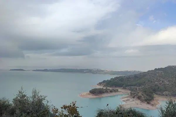 Karadenizliler Ormanı - Resim 4
