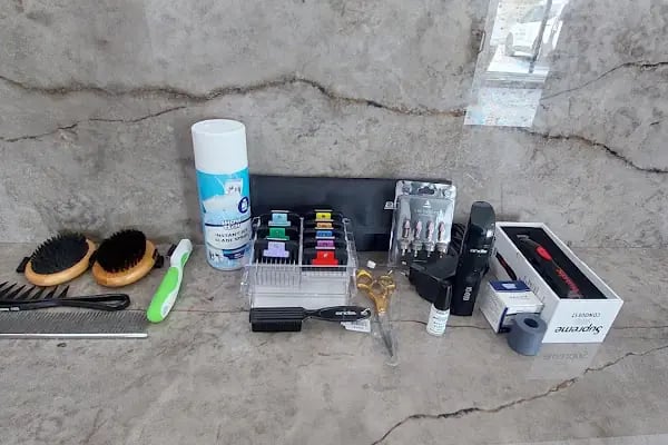 Zaragoza Kırklar VETERİNER KLİNİĞİ - Resim 11