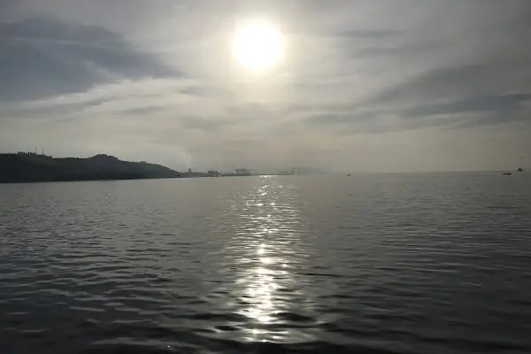 BUDO Gemlik İskelesi - Resim 6