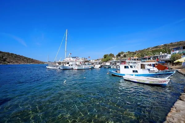 Club Gümüşlük - Resim 6