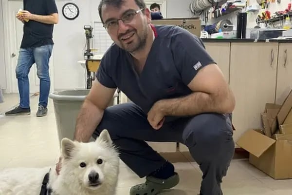 Op. Dr. Serdar Turgut | Ortopedi ve Travmatoloji Uzmanı - Resim 4