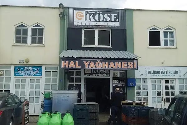 Köse Zeytincilik - Resim 4
