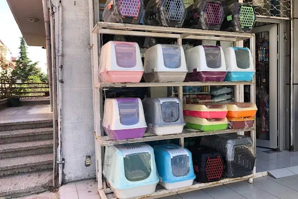 Eylül Pet Shop - Resim 4