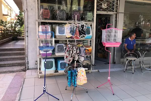 Eylül Pet Shop - Resim 1