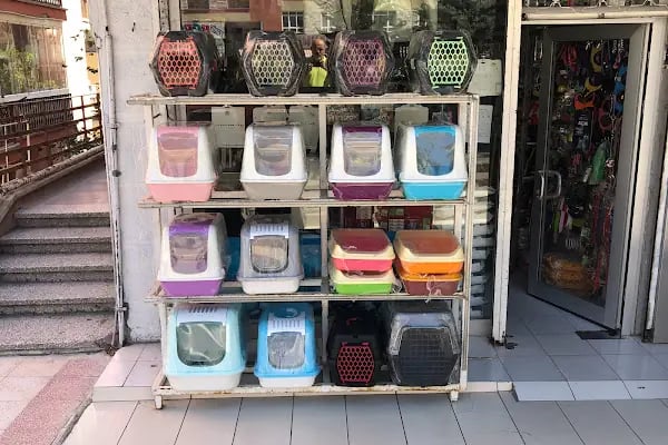 Eylül Pet Shop - Resim 5