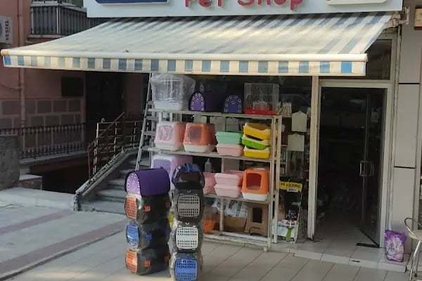 Eylül Pet Shop - Resim 7