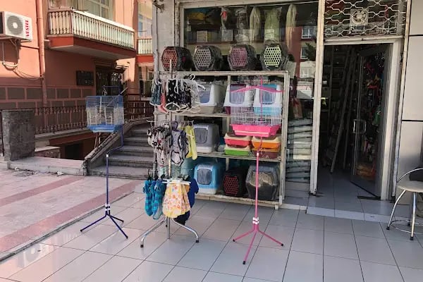 Eylül Pet Shop - Resim 6