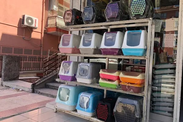 Eylül Pet Shop - Resim 2