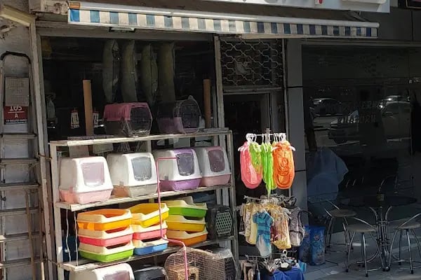 Eylül Pet Shop - Resim 3