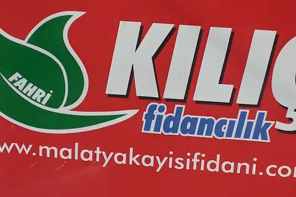 Kılıç Fidancılık - Resim 8