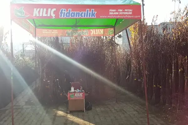 Kılıç Fidancılık - Resim 6