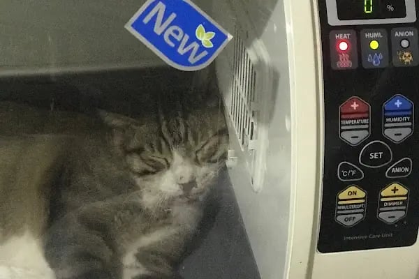 Vet Good Veteriner Kliniği - Resim 5