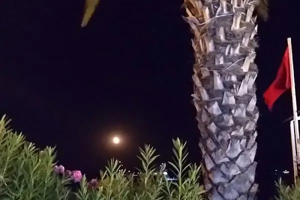 The LifeCo Bodrum Beach Hotel - Resim 16