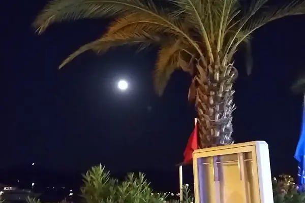 The LifeCo Bodrum Beach Hotel - Resim 5