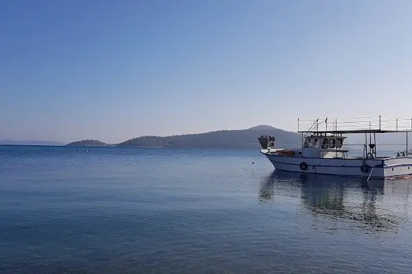 The LifeCo Bodrum Beach Hotel - Resim 4