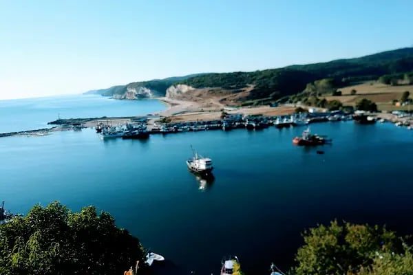 Kıyıköy Resort Hotel - Resim 7