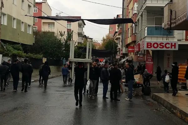 Zeynebiye Camii Şerifi - Resim 12